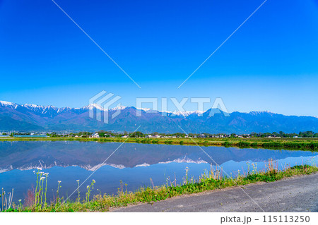 【初夏素材】初夏の安曇野の田園風景・水鏡【長野県】 115113250