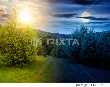 trail through deciduous forest at summer solstice. sky with sun and moon above the hill. day and night time change concept 115113498