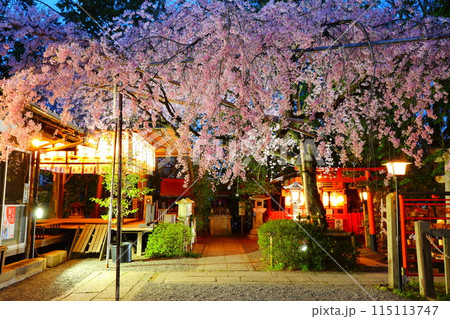 京都　夜桜 115113747