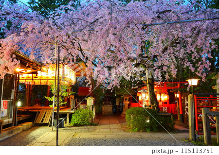 京都　夜桜 115113751
