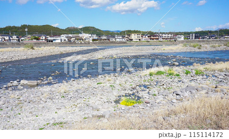 大分県日田市の河川敷 大分県日田市の河川敷 115114172