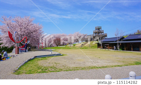 粟嶋神社の満開の桜 115114282