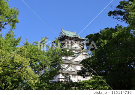 大阪城公園、タワマンのラウンジから望む新緑の大阪城、初夏、夏、春、大阪城、大坂観光、晴天の大阪城 大阪城公園、タワマンのラウンジから望む新緑の大阪城、初夏、夏、春、大阪城、大坂観光、晴天の大阪城 115114730