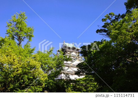 大阪城公園、タワマンのラウンジから望む新緑の大阪城、初夏、夏、春、大阪城、大坂観光、晴天の大阪城 115114731