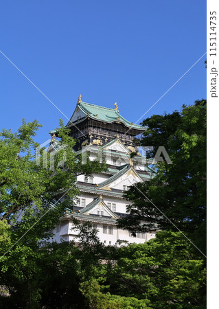 大阪城公園、タワマンのラウンジから望む新緑の大阪城、初夏、夏、春、大阪城、大坂観光、晴天の大阪城 大阪城公園、タワマンのラウンジから望む新緑の大阪城、初夏、夏、春、大阪城、大坂観光、晴天の大阪城 115114735