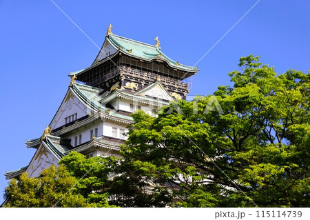 大阪城公園、タワマンのラウンジから望む新緑の大阪城、初夏、夏、春、大阪城、大坂観光、晴天の大阪城 大阪城公園、タワマンのラウンジから望む新緑の大阪城、初夏、夏、春、大阪城、大坂観光、晴天の大阪城 115114739