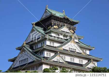 大阪城公園、タワマンのラウンジから望む新緑の大阪城、初夏、夏、春、大阪城、大坂観光、晴天の大阪城 115114751