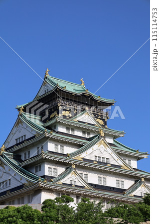 大阪城公園、タワマンのラウンジから望む新緑の大阪城、初夏、夏、春、大阪城、大坂観光、晴天の大阪城 115114753