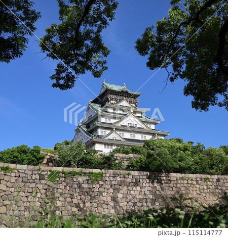 大阪城公園、タワマンのラウンジから望む新緑の大阪城、初夏、夏、春、大阪城、大坂観光、晴天の大阪城 大阪城公園、タワマンのラウンジから望む新緑の大阪城、初夏、夏、春、大阪城、大坂観光、晴天の大阪城 115114777
