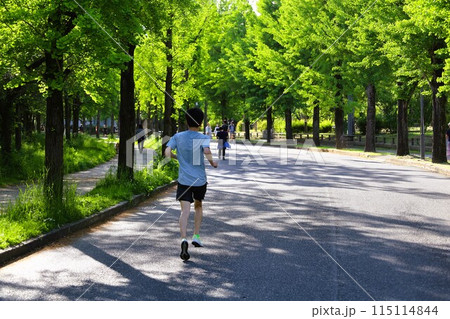 大阪城公園、タワマンのラウンジから望む新緑の大阪城、初夏、夏、春、大阪城、大坂観光、晴天の大阪城 大阪城公園、タワマンのラウンジから望む新緑の大阪城、初夏、夏、春、大阪城、大坂観光、晴天の大阪城 115114844