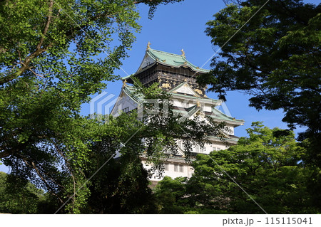 大阪城、春、夏、初夏、秋、タワマンのラウンジから望む新緑の大阪城、大阪城公園、大阪観光、関西観光 115115041
