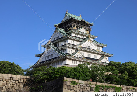 大阪城、春、夏、初夏、秋、タワマンのラウンジから望む新緑の大阪城、大阪城公園、大阪観光、関西観光 115115054