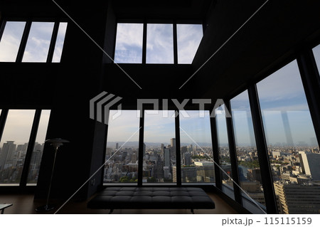 大阪城、春、夏、初夏、秋、タワマンのラウンジから望む新緑の大阪城、大阪城公園、大阪観光、関西観光 115115159