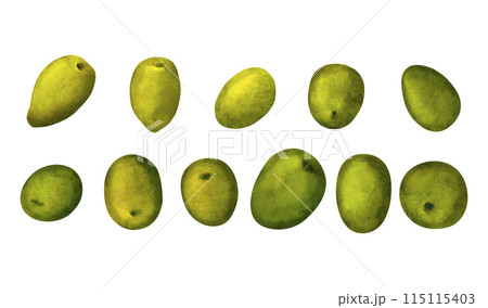 Green olives, watercolor hand painted set, isolated on white background 115115403