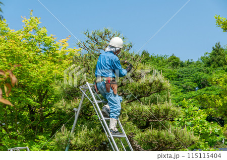 植木職人 植木職人 115115404