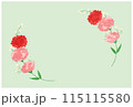 カーネーションのフレーム 115115580