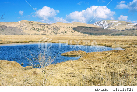 雪どけしたばかりの八島湿原（霧ヶ峰） 115115823
