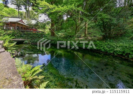 【九州・熊本】白川水源。阿蘇山の麓で湧き出る水は、透明でとても美しく、自然の恵みに感謝します。 【九州・熊本】白川水源。阿蘇山の麓で湧き出る水は、透明でとても美しく、自然の恵みに感謝します。 115115911