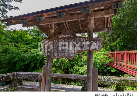 【九州･熊本】白川水源。阿蘇山の麓で湧き出る水は、透明でとても美しく、自然の恵みに感謝します。 115115918