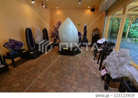 【九州･熊本】白川水源。阿蘇山の麓で湧き出る水は、透明でとても美しく、自然の恵みに感謝します。 115115919