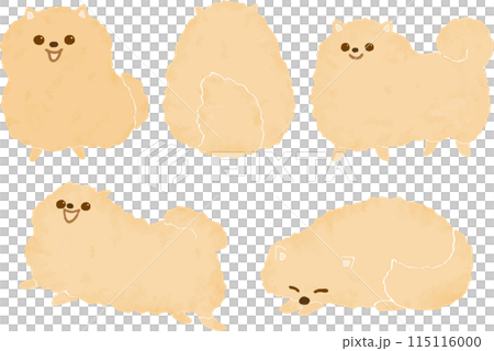 博美犬各種姿勢的插圖集 博美犬各種姿勢的插圖集 115116000