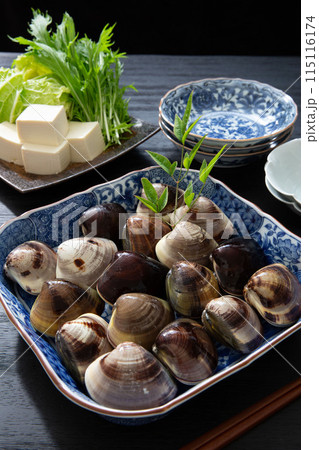 蛤料理、本ハマグリ、日本産蛤、蛤鍋、海鮮食材 115116174