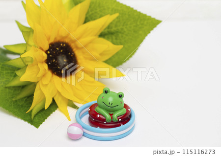 ビニールプールで遊ぶ蛙と向日葵 115116273