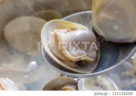 ハマグリのしゃぶしゃぶ、蛤鍋、蛤料理 115116288