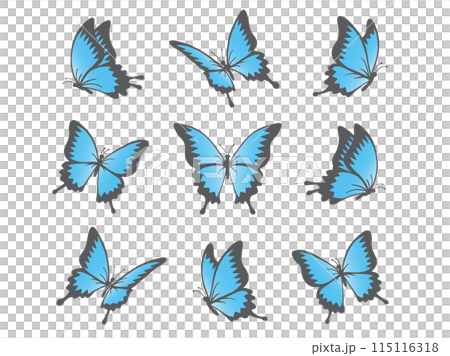 美麗又美麗的蝴蝶 115116318