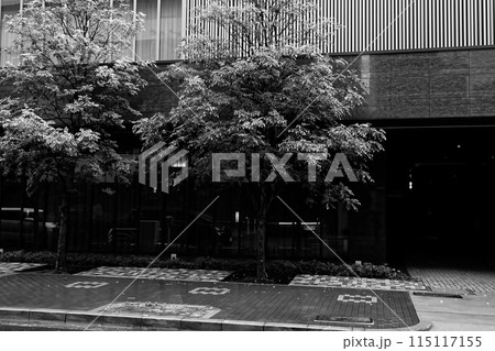 雨の日名古屋市栄 115117155