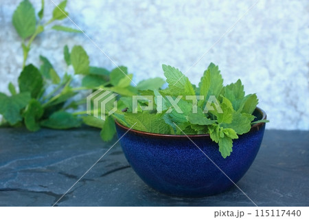 Fresh Melissa officinalis leaves in a bowl and at the back. Fresh Melissa officinalis leaves in a bowl and at the back. 115117440