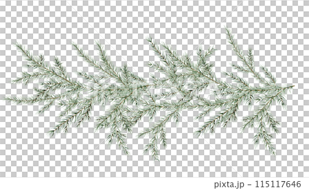 Watercolor Christmas tree branches. Hand painted fir-needle natural elements illustration on isolated background. Freehand drawing of festive needles from spruce, decoration for christmas and new year 115117646