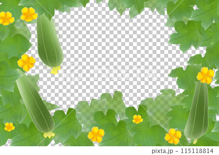 絲瓜花卡2 115118814