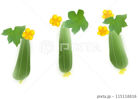 糸瓜（ヘチマ）の花のカード3 115118816