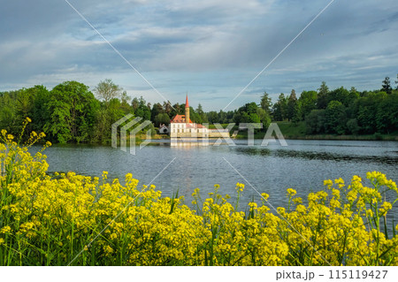Yellow summer flowers by the lake on the background of an ancient Maltese castle. 115119427