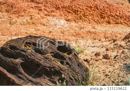 Lizard on a stone, wild animals of the red mountains valley, great place for hacking, postcard with space for concept 115119622