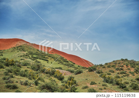 Spring in an arid valley among the red hills, a popular destination for recreation and travel, this picturesque landscape highlights the natural beauty and varied terrain. Spring in an arid valley among the red hills, a popular destination for recreation and travel, this picturesque landscape highlights the natural beauty and varied terrain. 115119638