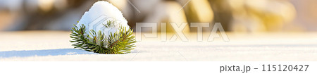 web banner or website decoration decor with the top of a pine tree protruding from a snowy field, copy space for Merry Christmas or New Year greetings web banner or website decoration decor with the top of a pine tree protruding from a snowy field, copy space for Merry Christmas or New Year greetings 115120427