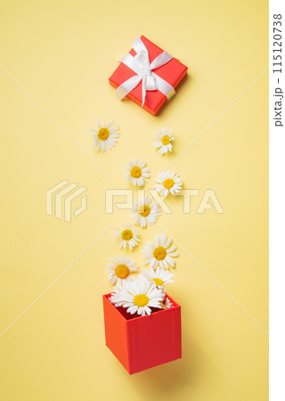 Concept present. Beautiful chamomile  flowers fly out of a red box on a yellow background. Top view 115120738