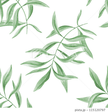 Tropical green leaves. Oleander branches. Seamless pattern of olive leaves. Realistic eucalyptus foliage. Watercolor illustration. Floral greenery design for package, textile, wrapper 115120797