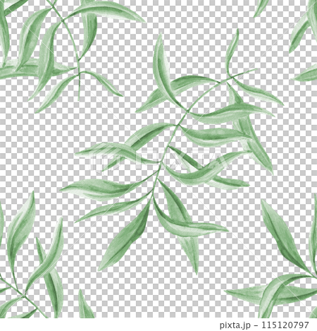 Tropical green leaves. Oleander branches. Seamless pattern of olive leaves. Realistic eucalyptus foliage. Watercolor illustration. Floral greenery design for package, textile, wrapper 115120797