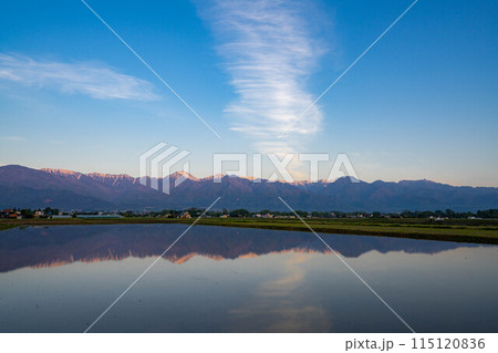 【初夏素材】初夏の安曇野の田園風景・朝景【長野県】 115120836