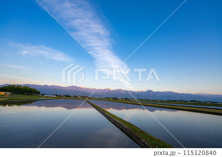 【初夏素材】初夏の安曇野の田園風景・朝景【長野県】 【初夏素材】初夏の安曇野の田園風景・朝景【長野県】 115120840
