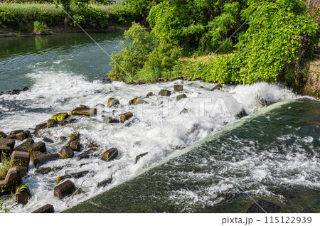三栖洗堰から宇治川への流れ　京都市伏見区 115122939