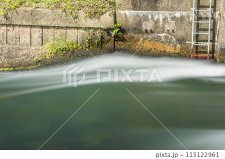 三栖洗堰から宇治川への流れ　京都市伏見区 115122961
