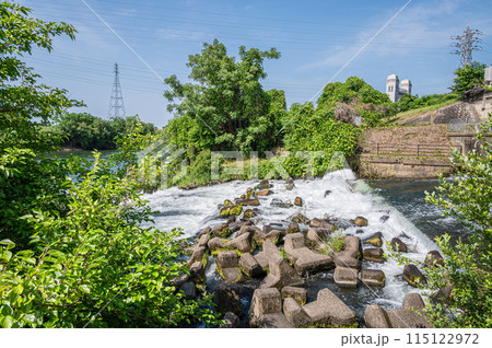 三栖洗堰から宇治川への流れ　京都市伏見区 115122972