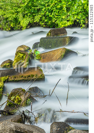 三栖洗堰から宇治川への流れ　京都市伏見区 115122985