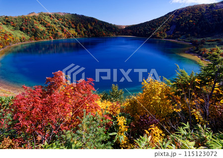 紅葉の吾妻連峰・五色沼の風景 115123072
