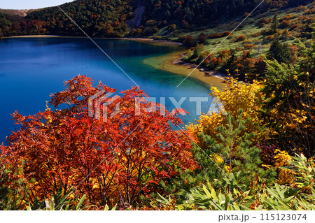 紅葉の吾妻連峰・五色沼の風景 115123074