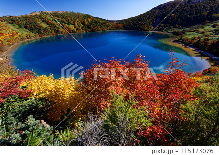 紅葉の吾妻連峰・五色沼の風景 115123076